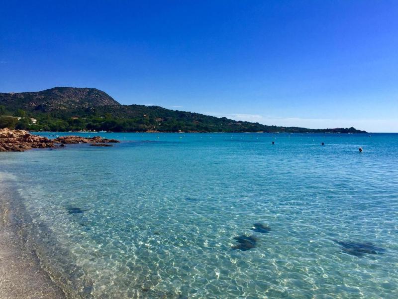 Il Timone a Murta Maria - Incantevole apt sul mare