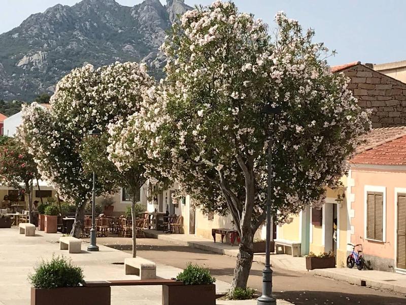Place San Pantaléo - Autentica casa sarda con terrazza